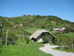 Koglo in Vinji Vrh